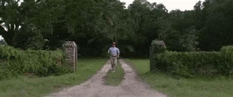 run forest gif